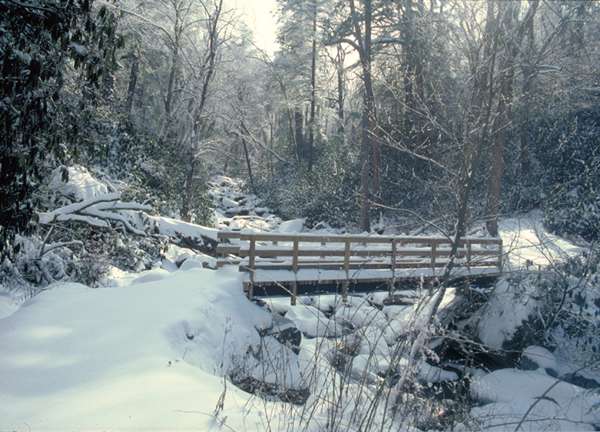 One of the bridges at the beginning of the trail