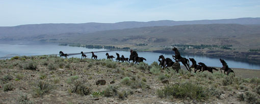 The Wild Stallions and the Columbia River
