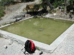 Ripearean pool in the desert